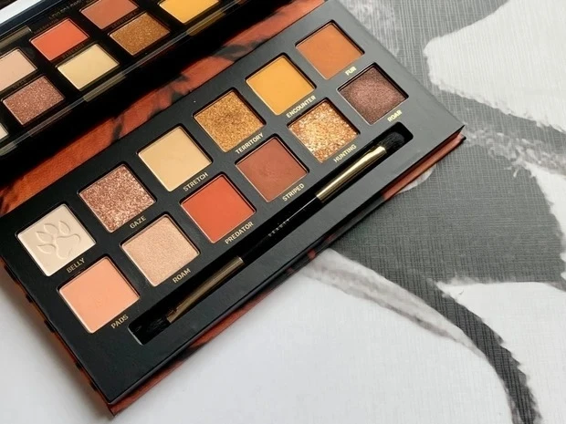 【中国コスメ】PERFECT DIARY（パーフェクトダイアリー）エクスプローラ12色アイシャドウパレット 02 トラ_カラー