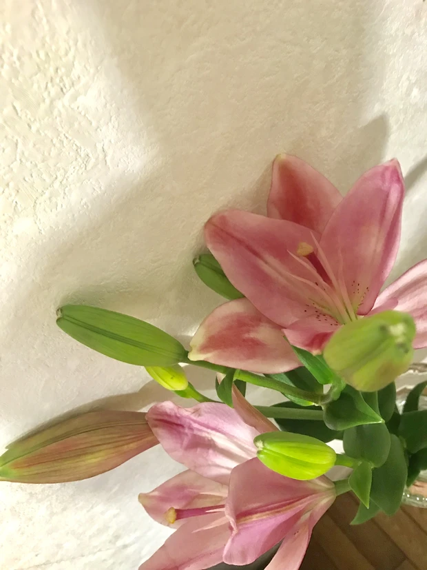 ZARA×JoMalonコラボフレグランス♡アマルフィ サンレイ♡_2_1