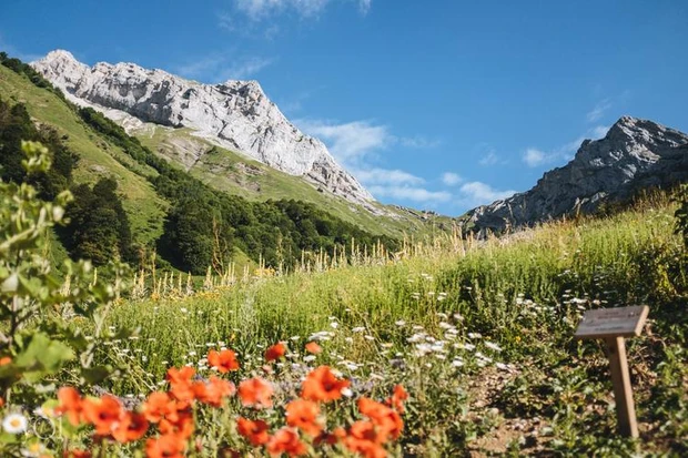 クラランス　B Corp　CSR  美容-6