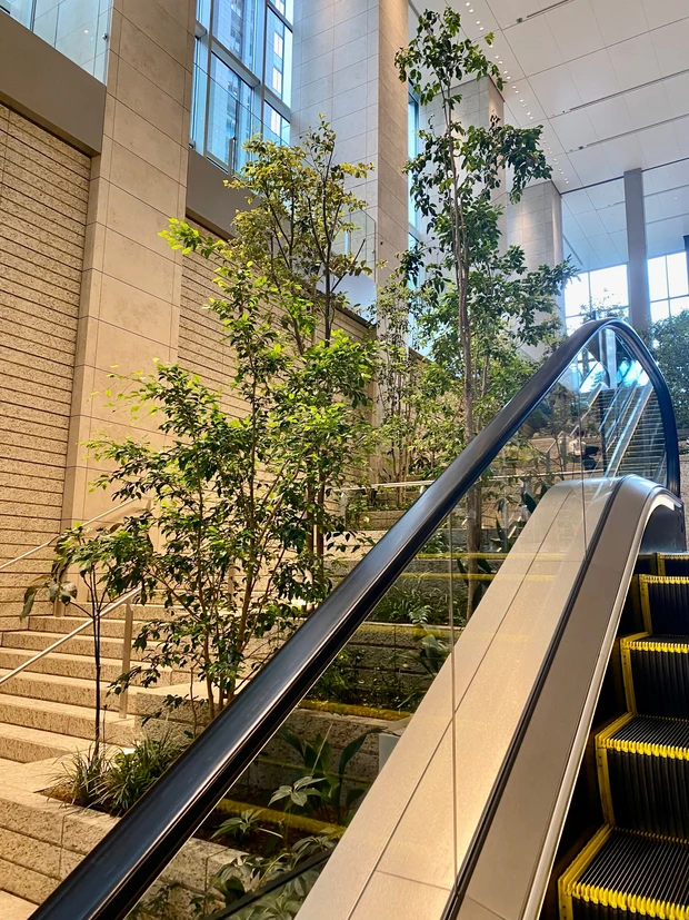 ランニングステーション（日比谷公園は今日10/29！！）でいいことがあります。_1_1