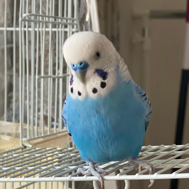 【自己紹介】MAQUIAエキスパートのAyuです！Q&A形式で私について解答してみました。_3_3