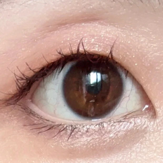 イエベ　ブルベ　メイク