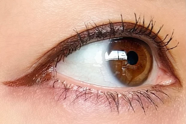 CANMAKE(キャンメイク)クリーミータッチライナー02ミディアムブラウン