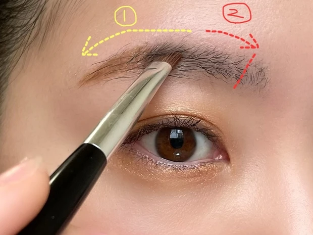 垢抜け眉毛の書き方　4.眉毛の中間からパウダーを乗せていく