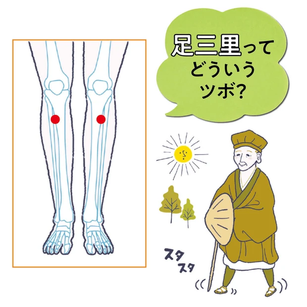 松尾芭蕉もケアしてた!? ツボ界のスター「足三里（あしのさんり）」の正確…