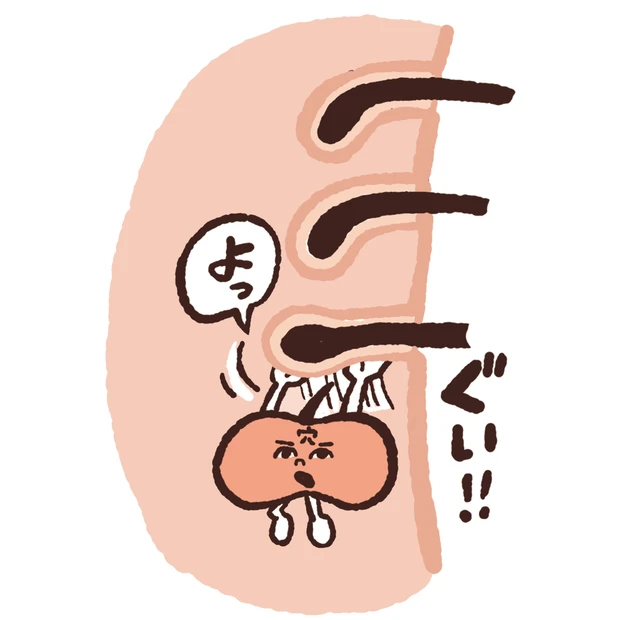 【最新】毛穴、角質ケアの最前線 PhotoGallery_1_23