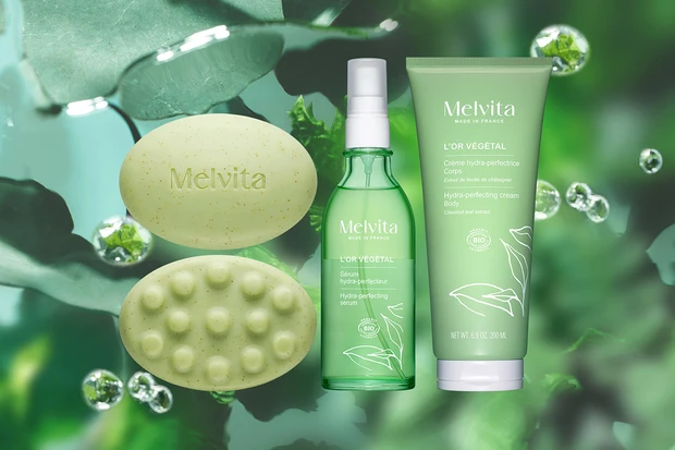 メルヴィータ  ロルベジタル キット