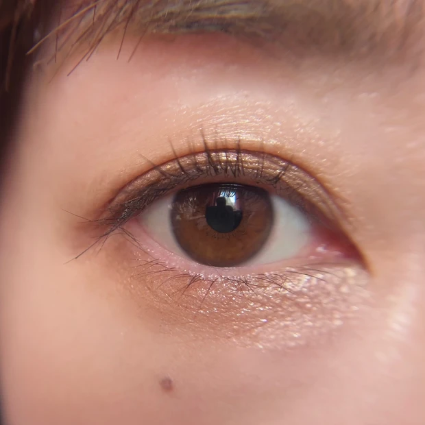 シグニチャーカラーアイズ14 使い方