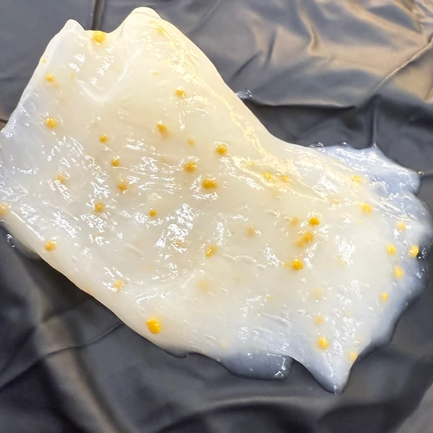 パンテーンのプレミアムライン EXPシリーズ カプセル美容液ヘアマスク 1万粒!
_5_1