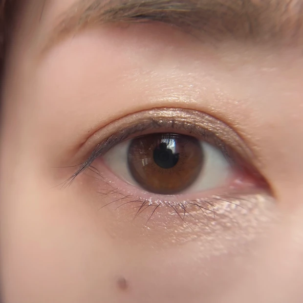 シグニチャーカラーアイズ14 使い方