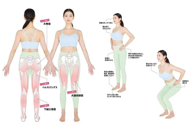 【1位】【スクワットの効果】王道だけどすごい筋トレ!頻度・回数・やり方も紹介