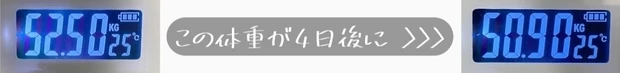 ファスティング　結果　体重　標準体型