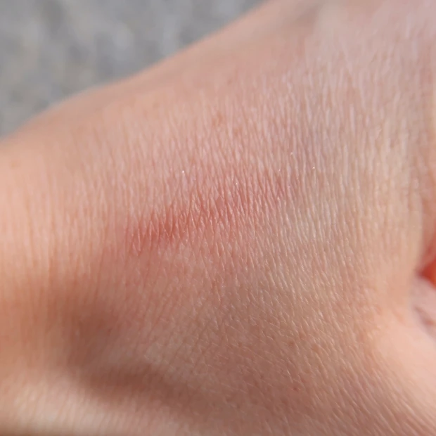 CANMAKE  プランぷくコーデアイズの血色影