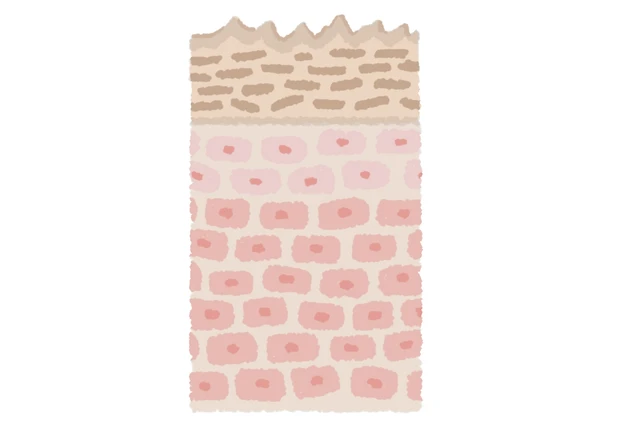 圧迫・摩擦への防御反応で厚く&黒ずんでいく