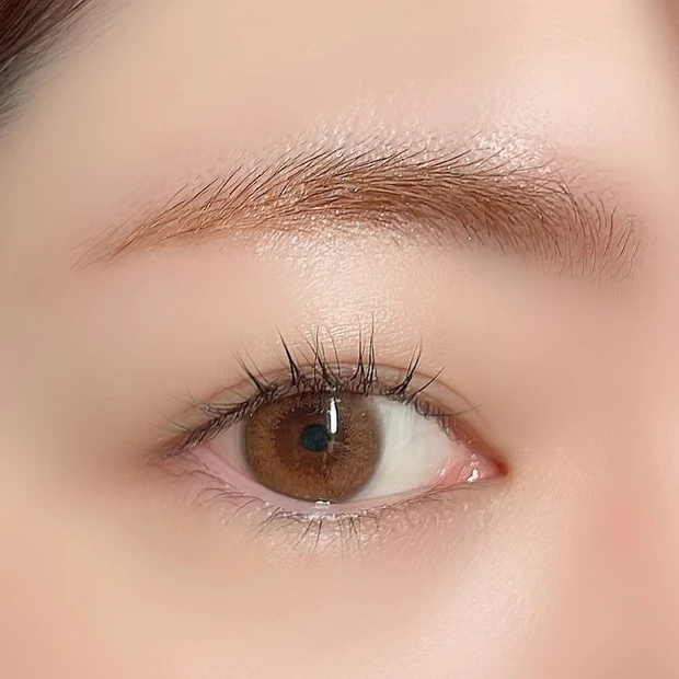 Celvoke(セルヴォーク)インディケイトアイブロウパウダー 08プラムブラウン