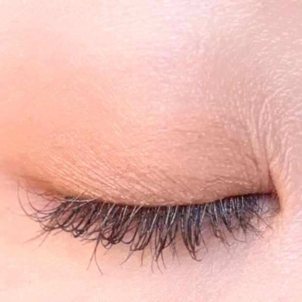 フジコ　アイシャドウ　ベスコス