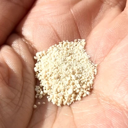 【石井美保さんの愛用インナーケア！】青パパイヤ酵素って知ってる？本気で綺麗を目指すなら内からも！_3_2