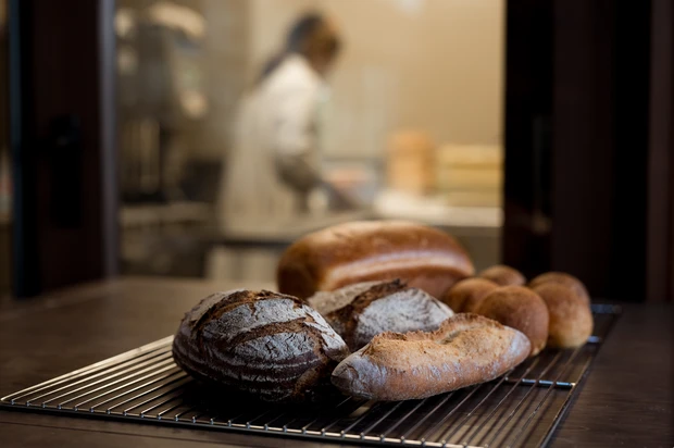 江戸時代から残る古民家で綺麗旅＠LOQUAT西伊豆_22_2