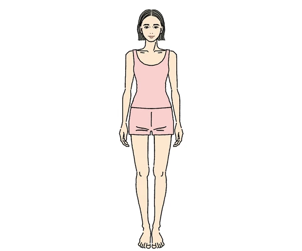 骨格ナチュラル／イラスト