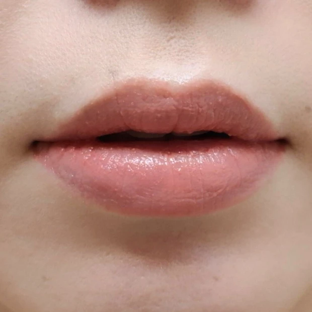 リプモン ミルクラテモンスターをかさねた様子