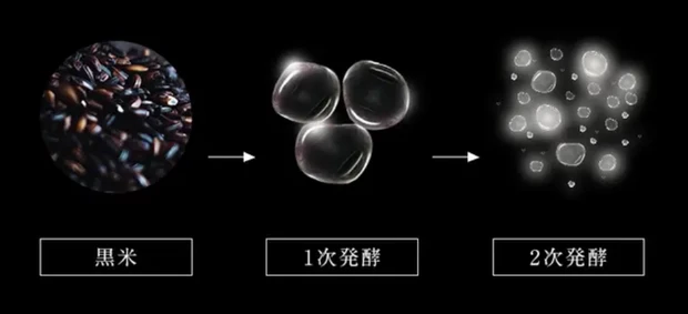 【FAS】発酵スキンケア「ファス」の大人気化粧水。その人気の秘密を徹底解説！_2