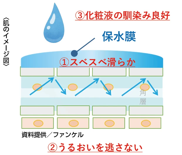 ファンケル　スキンコンディショニング洗顔〈ブラック&スムース〉 洗ってもうるおうのは「保水膜」のチカラ