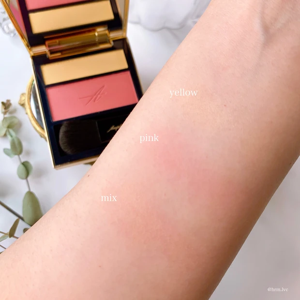 アンプリチュード コンスピキュアス チークスのスウォッチ