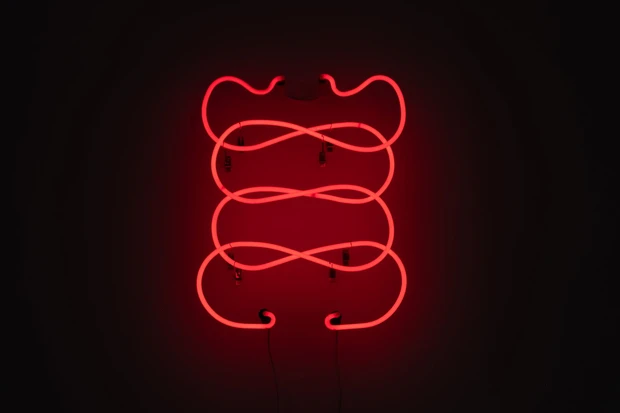 メゾンエルメス ル・フォーラム Obol　アンドリウス・アルチュニアン｜《Geryon & Herakles》| 2025年 | ネオン | 60 x 40 cm | Courtesy of the artist Photo by Kunstraum Memphis