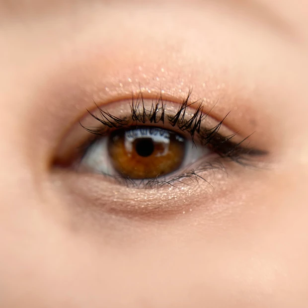 【MAQUIA7月号超豪華付録】大人の涙袋メイクにぴったり！キャンメイク「プランぷくコーデアイズ」の使い方徹底解説！_5