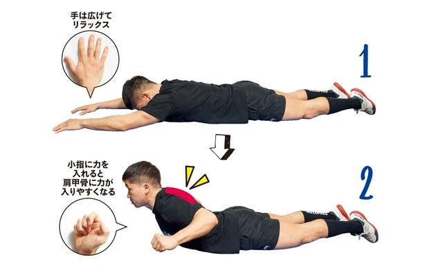 猫背解消にも効果的 肩甲骨伸ばし