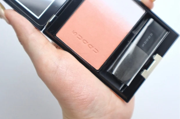 スック ピュアカラーブラッシュ 146 花弁浮 スウォッチ