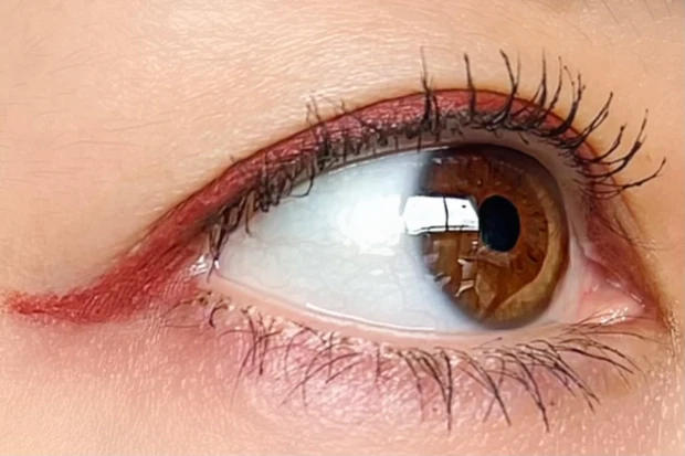 CANMAKE(キャンメイク)クリーミータッチライナー04ガーネットバーガンディ