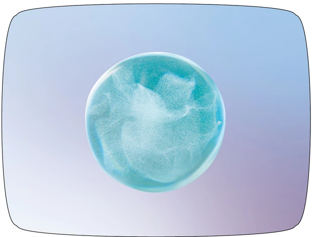 dプログラム 新製品 キシリトール配合で角層バリアを整えて健やか肌に