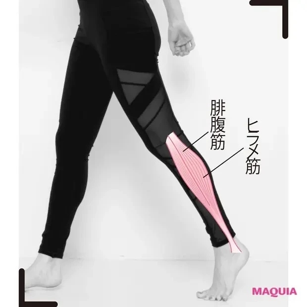 【食事と合わせて取り入れたい筋トレ】ココを強化! 腓腹筋(ひふくきん)・ヒラメ筋