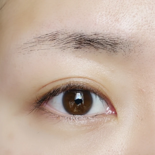 【エテュセ】派手髪にしたときの眉毛問題を解決！明るめ眉を叶えるエテュセの眉マスカラ【ビフォアフ】_5_1