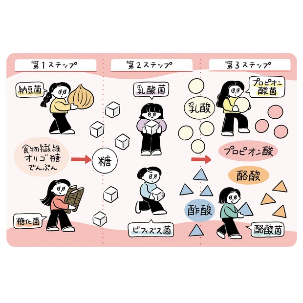 いま押さえるべき腸活ワード「発酵性食物繊維」「菌のリレー」を解説。目指す…