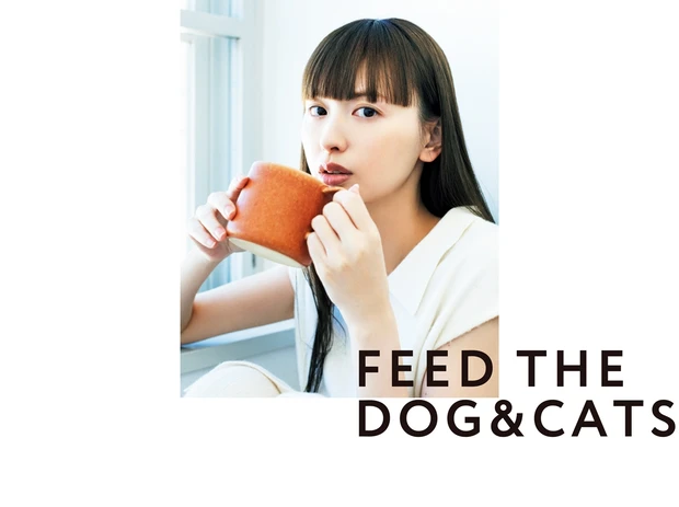 FEED THE DOG&CATS