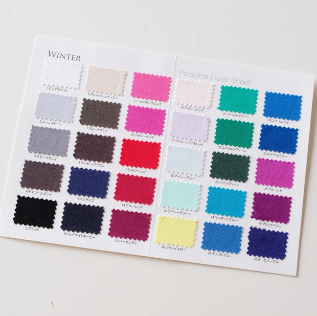 ブルベ冬 似合う色 パーソナルカラーシート