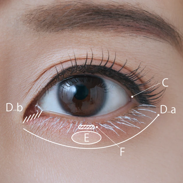 声優佐倉綾音目元アップ１