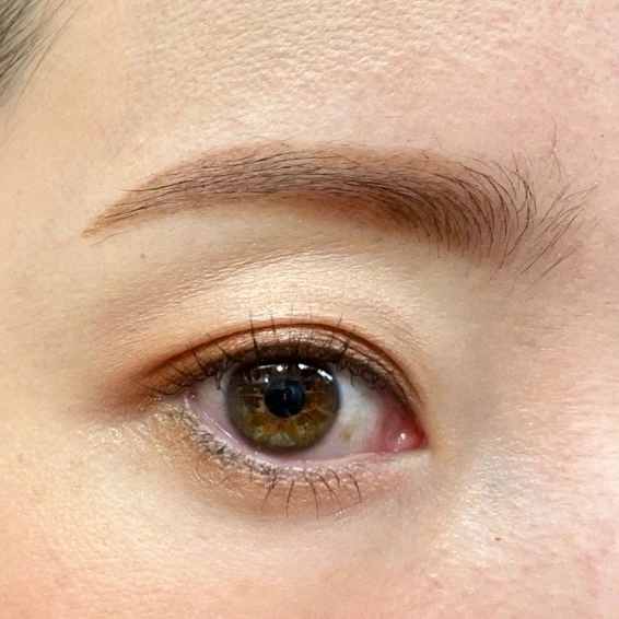 【Diorオンライン限定】サンククルールクチュール#022アイシャドウパレット塗り方~金曜夜のぶっちゃけ美容#11~_6_2