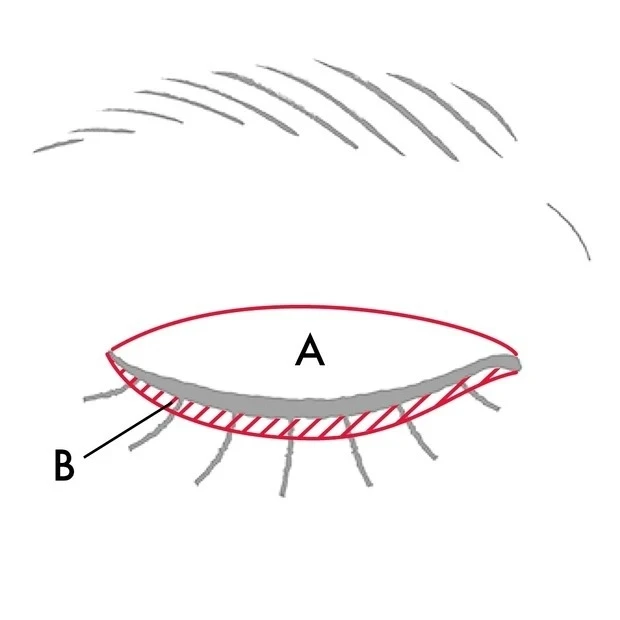 スナイデル ビューティ「アイデザイナー」奥二重さんはこう使う! MAP