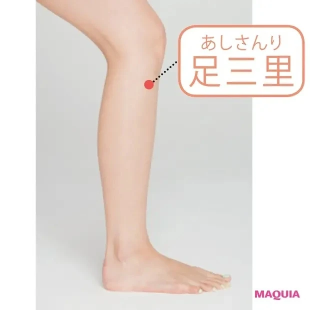 【簡単ツボ押し&マッサージで免疫力アップ】ツボ解説_足三里(あしさんり)