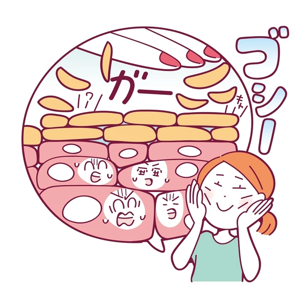 あなたの角層状態がわかるチェックリスト付き！ 「角層ケア」のギモンを解決