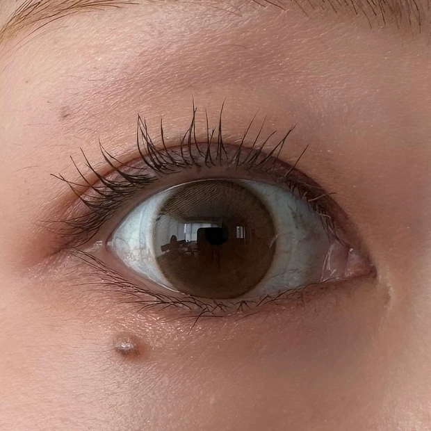 【顔タイプ別メイク】MAQUIA9月号掲載！どうぶつ顔タイプ別、私が盛れる正解メイクを実際に試してみた！_7_3