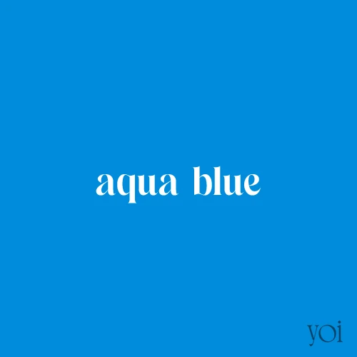 2025年下半期の運勢 占い 月星座・獅子座のラッキーカラーは…アクアブルー