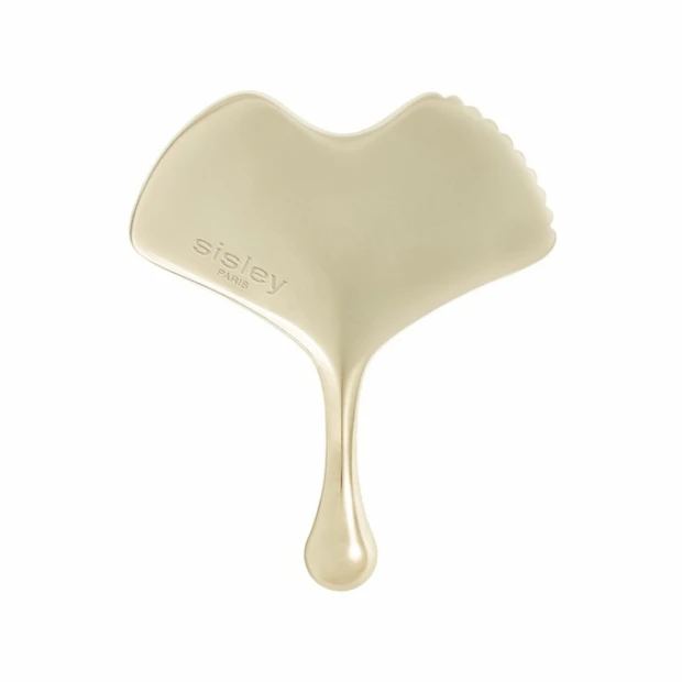 ギンコゥ カッサ