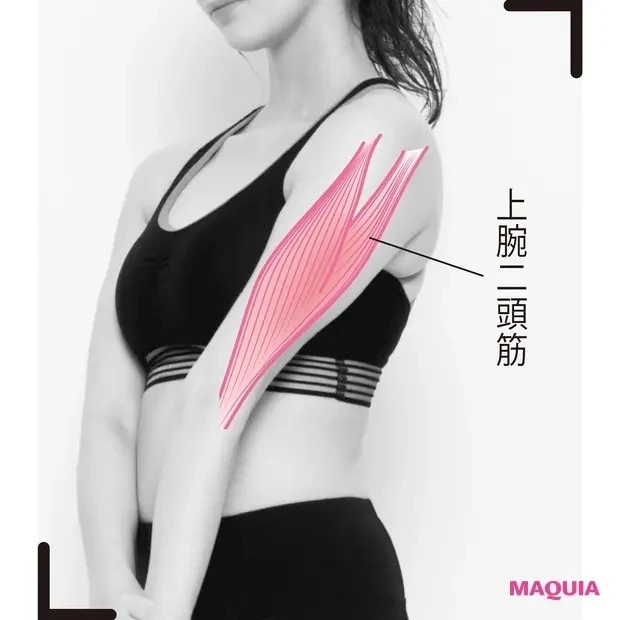【食事と合わせて取り入れたい筋トレ】ココを強化! 上腕二頭筋(じょうわんにとうきん)
