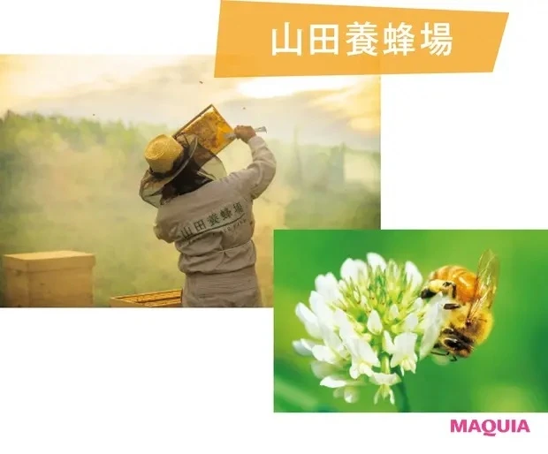 【クリーンビューティ】SDGs13「気候変動に具体的な対策を」_4