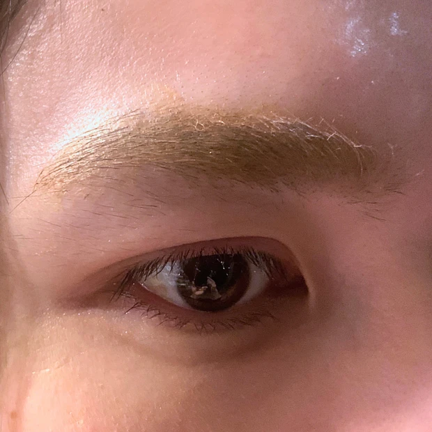 インスパイアスキニーブロウカラ【B01:ミルクティー】