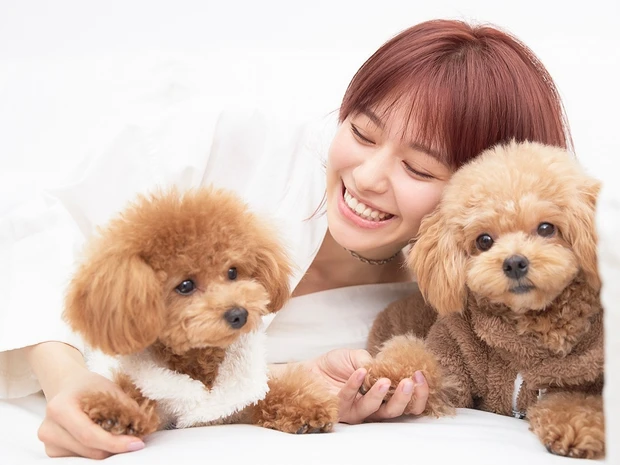 Q39 モチベーションの源は?